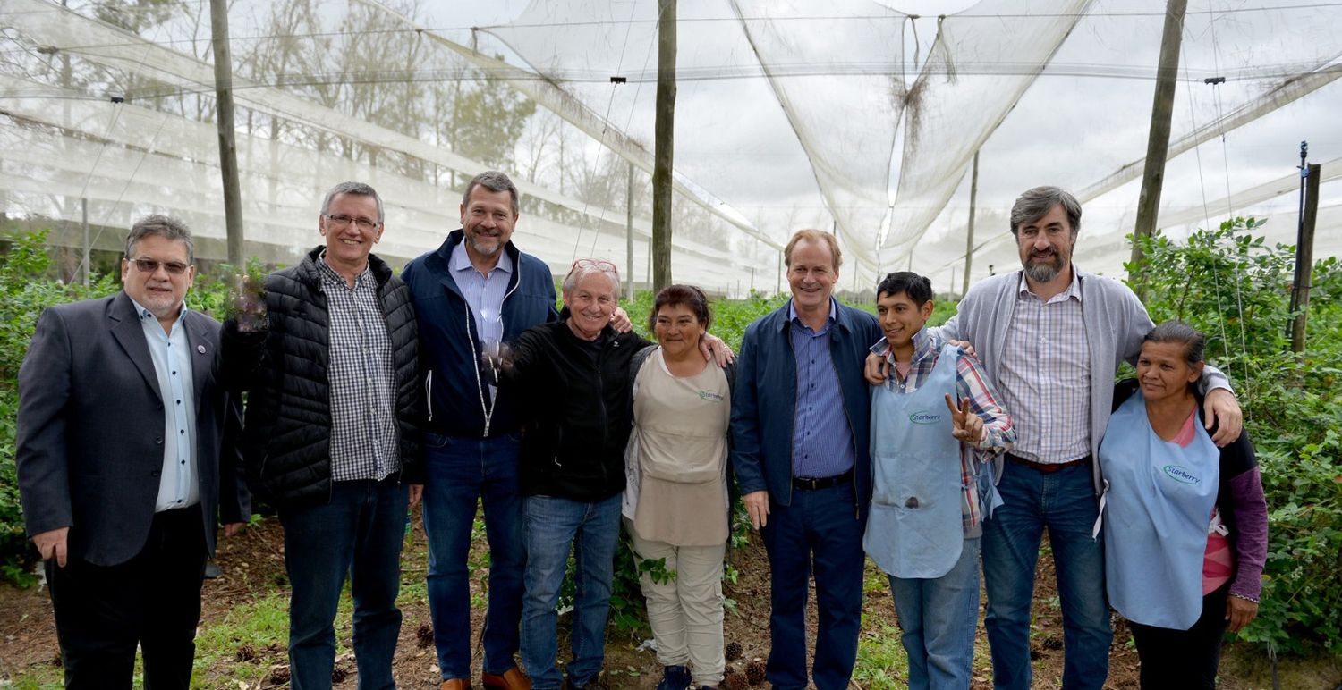 Junto a Gay, Giano y Francolini, Bordet valoró la producción arandanera para el crecimiento de la economía entrerriana