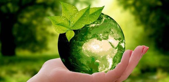 Día Mundial del Medio Ambiente