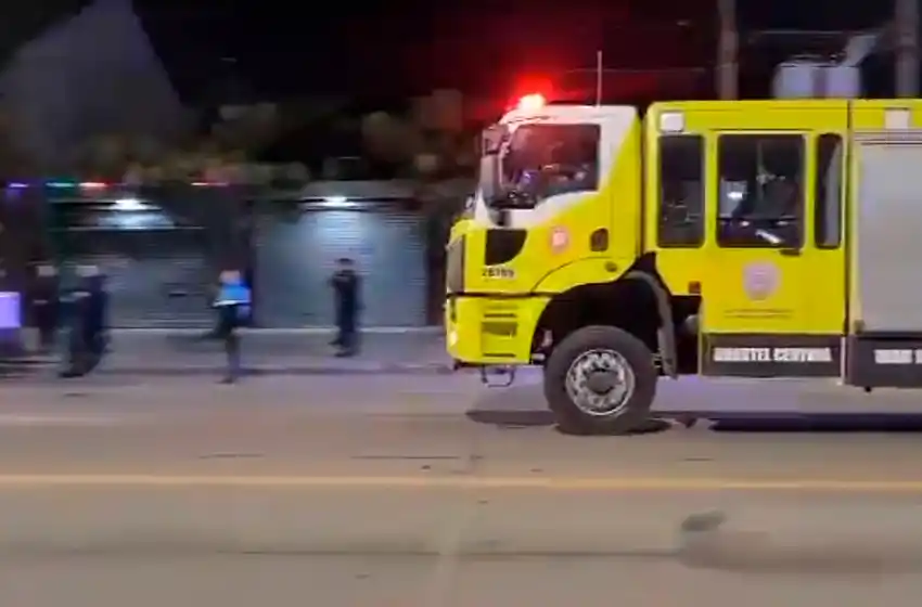 Llamaron a los bomberos para rescatar de la altura a dos ladrones