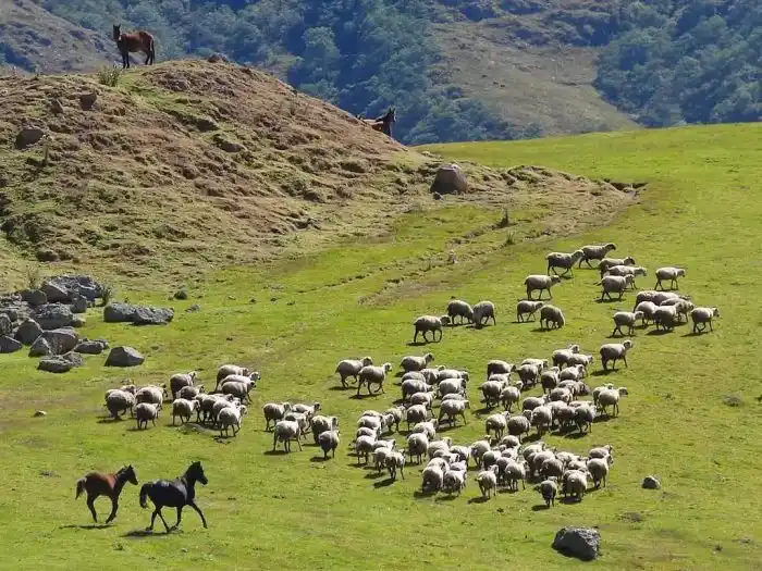 Encantos de la pintoresca Tucumán