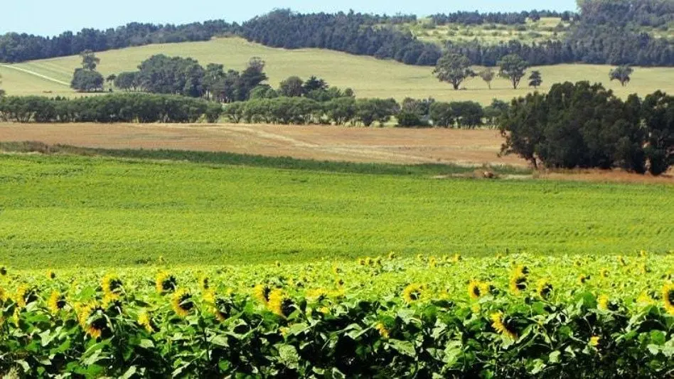 "La preocupación de los productores es bastante importante"