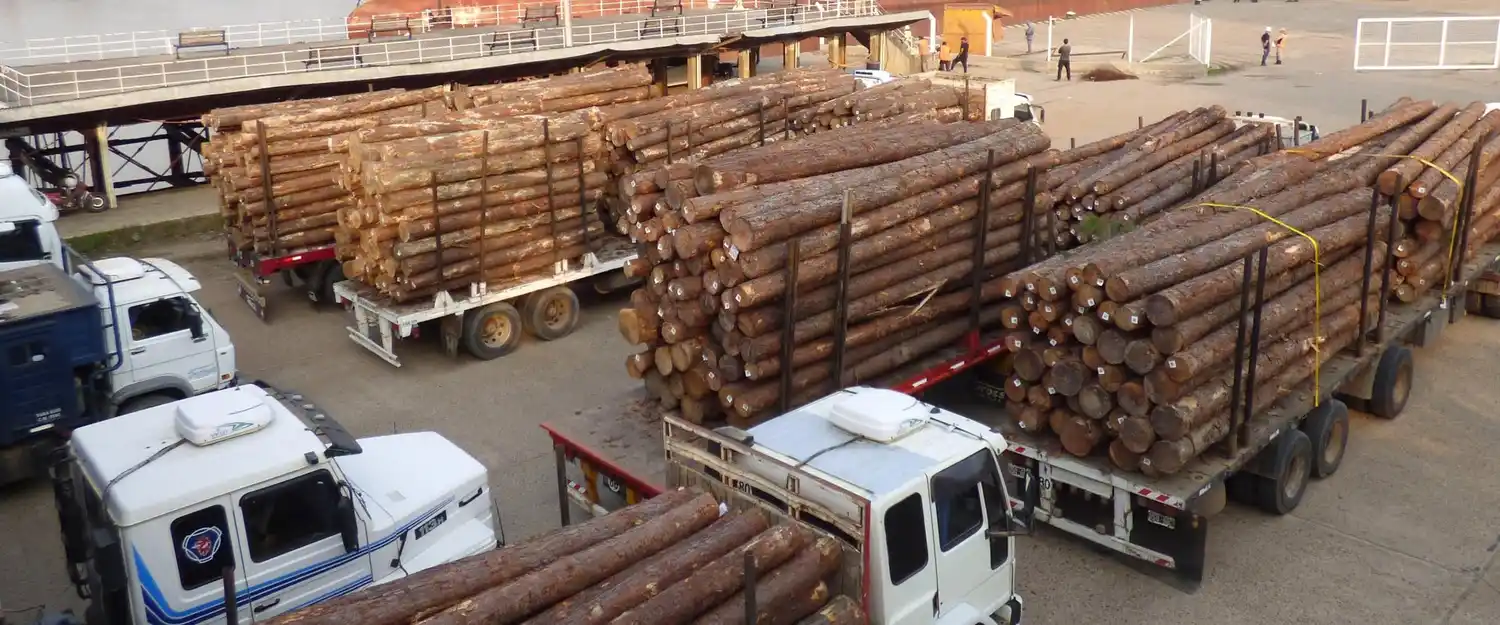 Crecieron las exportaciones entrerrianas durante el primer cuatrimestre de 2020