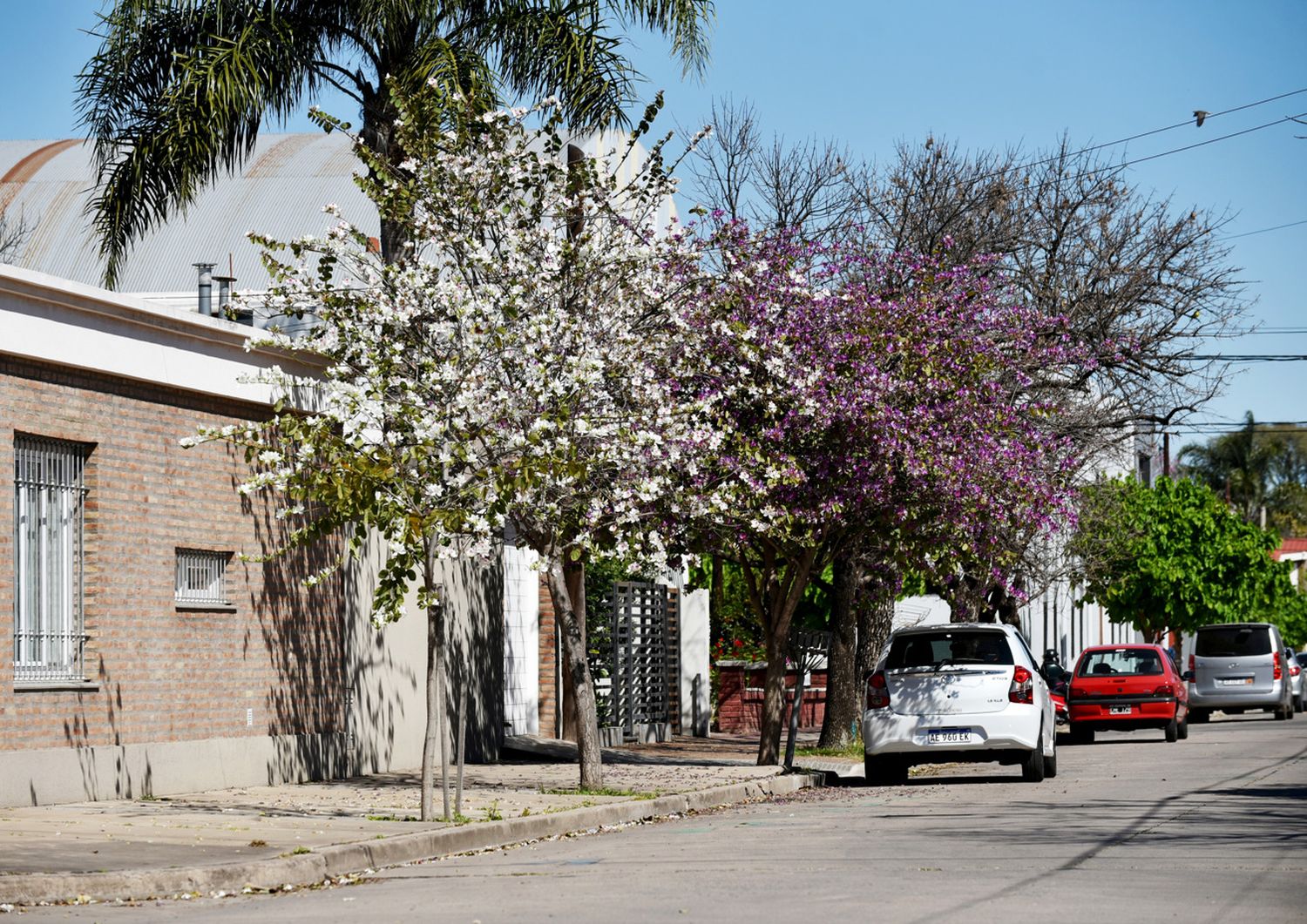 La temperatura actual es de 13°C