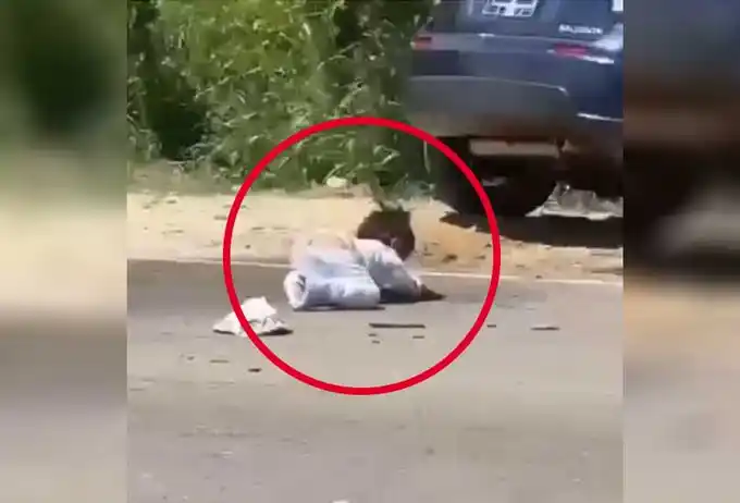 Ocurrió en localidad de Castillo, zona del trópico de Cochabamba.