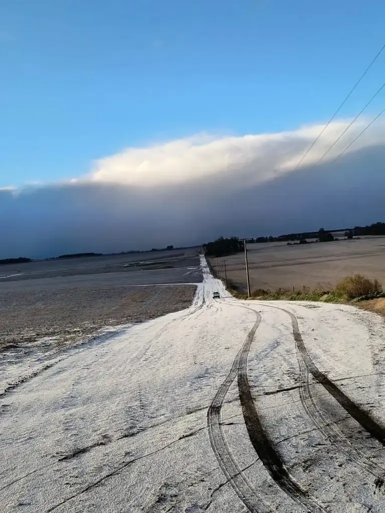 nieve mar del plata