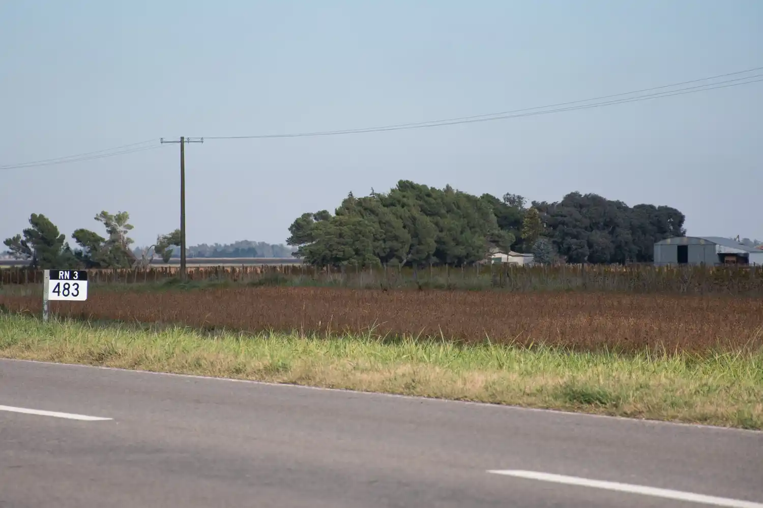 Inseguridad: Campos en riesgo a la orilla de la ruta 3