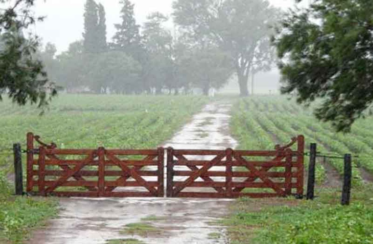 Anticipan que los próximos tres meses tendrán lluvia por debajo de lo normal