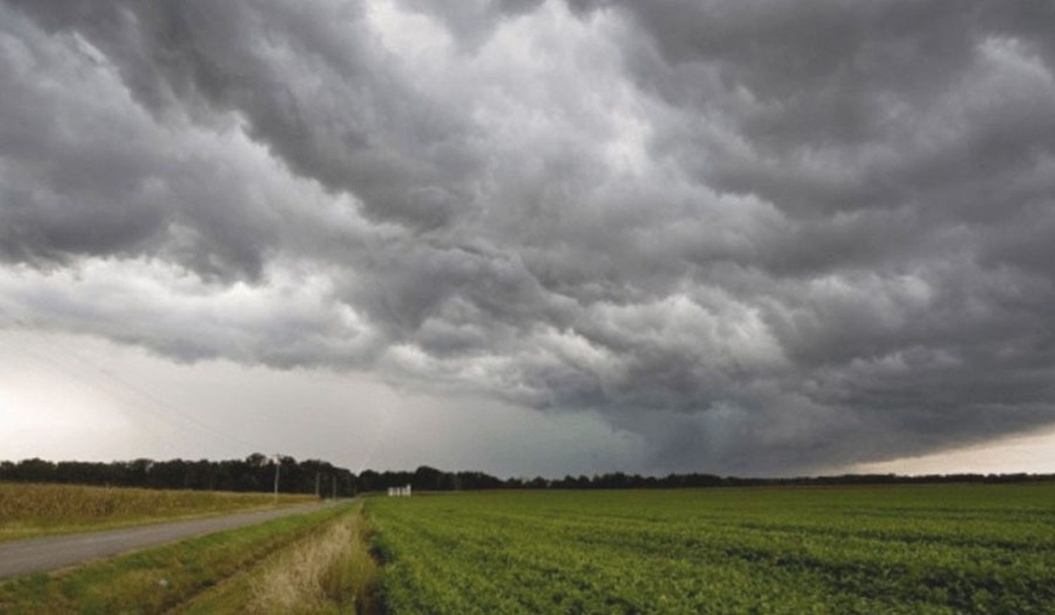 Nuevas lluvias en la región núcleo mejoran las perspectivas agrícolas