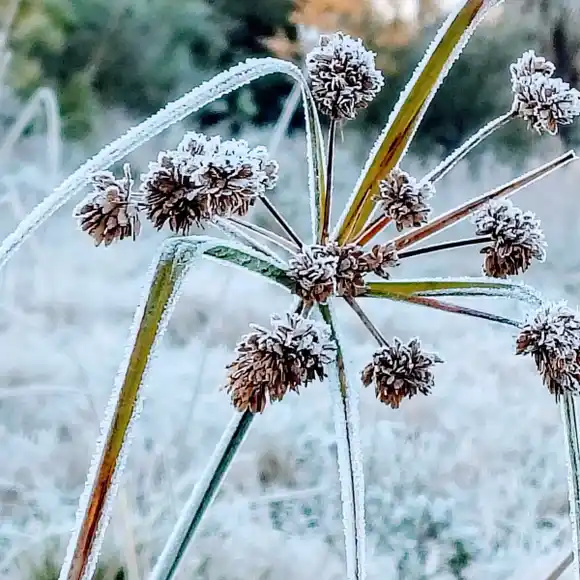 ¿Hasta cuándo durará el frío en la región de Salto Grande y cómo estará el clima en las vacaciones de invierno?