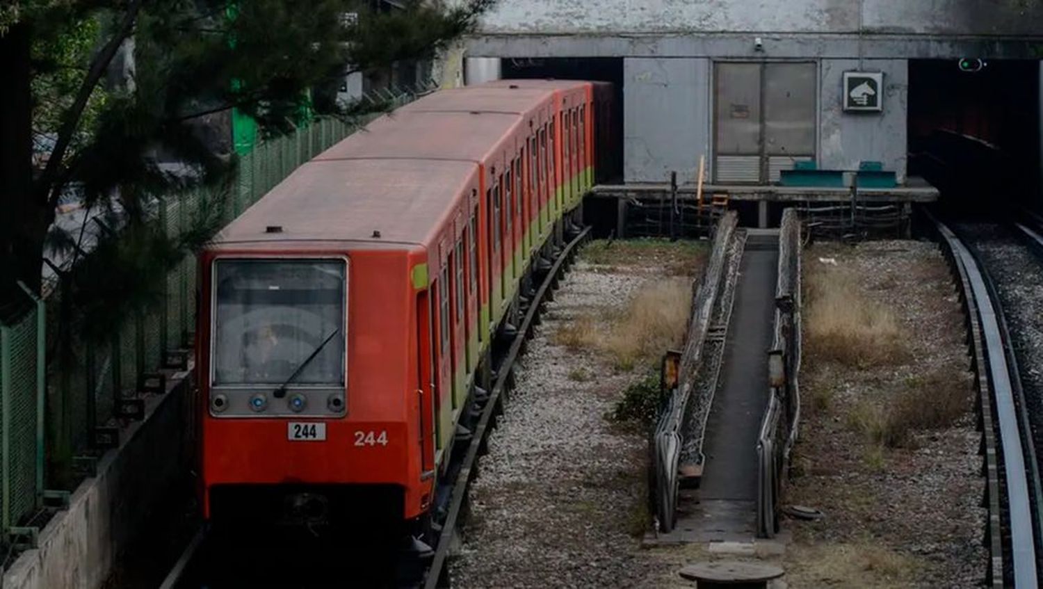Venezolana es rescatada de caer a los rieles del metro de Ciudad de México
