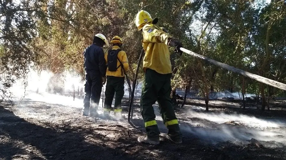 Incendios forestales: "Lamentablemente siempre tienen la participación del hombre"