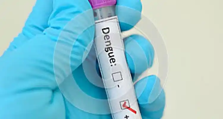 Primer caso de Dengue autóctono en San Pedro