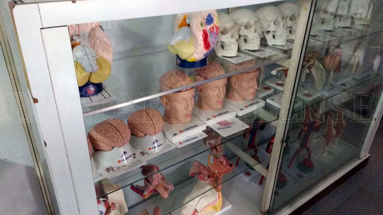 Medicina tuvo casi dos mil inscriptos para el ciclo lectivo 2018