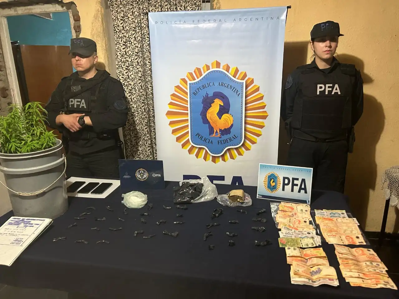 pfa - 3