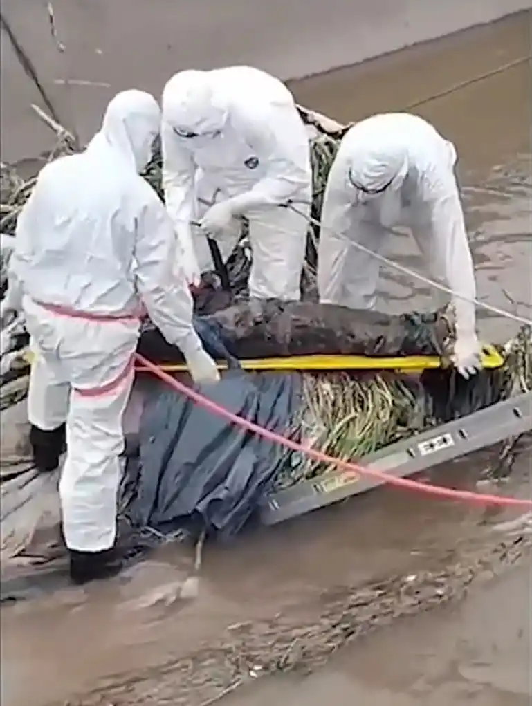 Tigre: encontraron un cuerpo sin vida en un arroyo