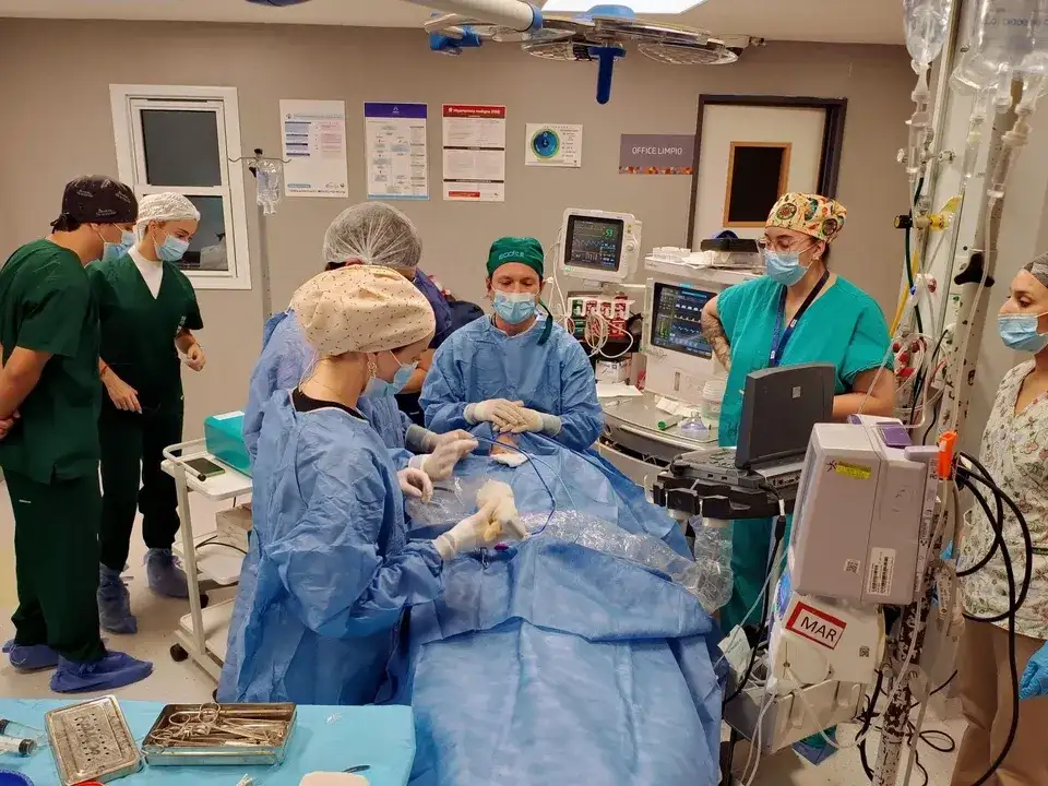 Realizaron en Argentina la primera ablación por microondas de tiroides
