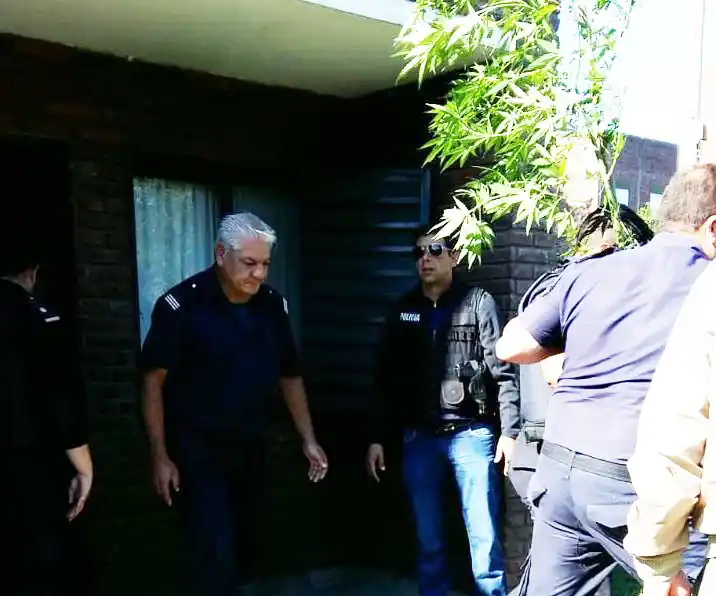 Secuestran planta de marihuana en allanamiento por hurto y amenazas