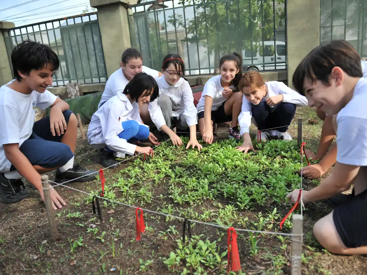 El trabajo con la tierra no es para cualquiera, sino que requiere de un aprendizaje constante. En San Francisco y la región existen buenos ejemplos que demuestran que el oficio de quintero sigue vigente y suma nuevos adeptos, apoyado en los cambios de háb