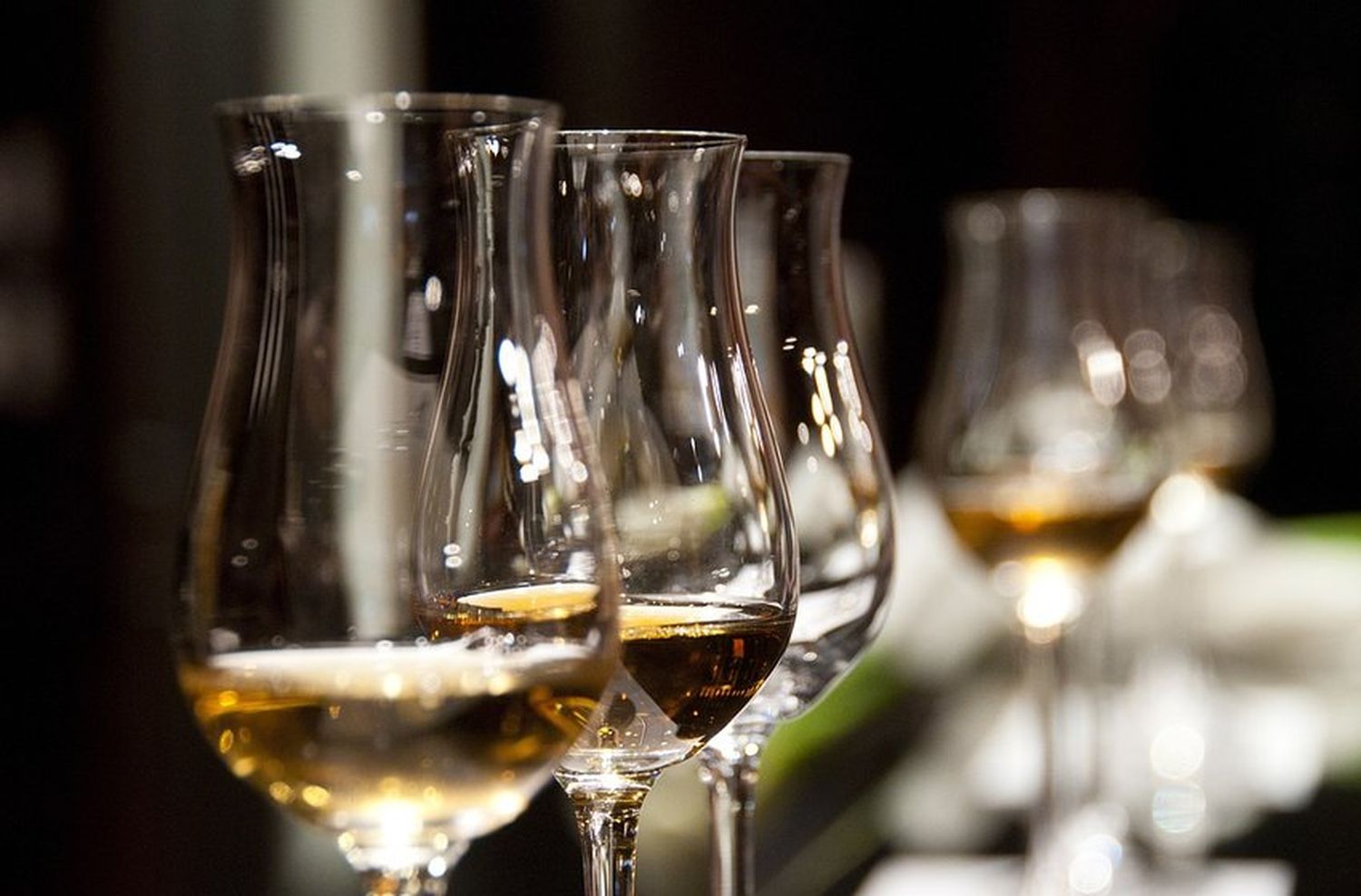 ¿Hay que olvidarse del alcohol para bajar de peso?