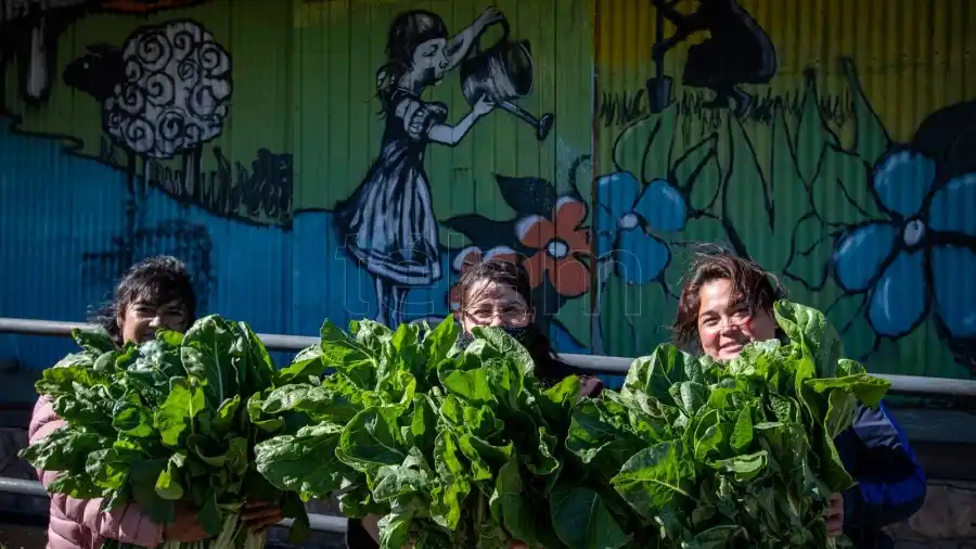 La economía popular supera al empleo privado en Formosa y otras 8 provincias