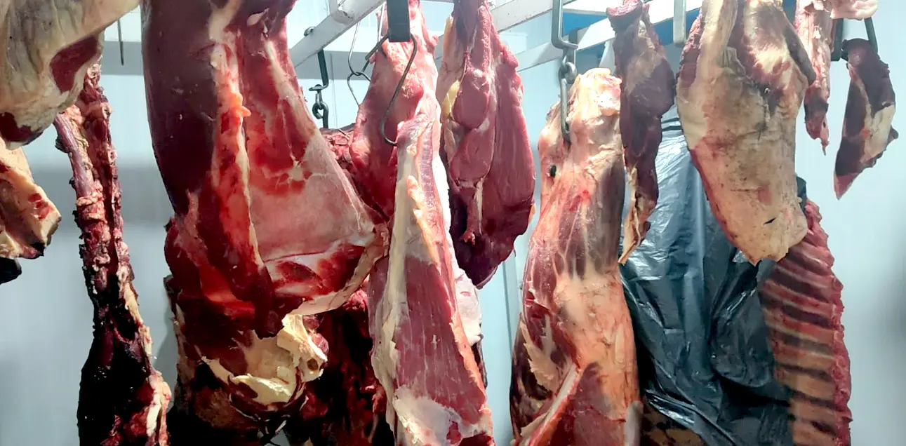 Incautaron. Diversos cortes de carne por diversas irregularidades en los negocios