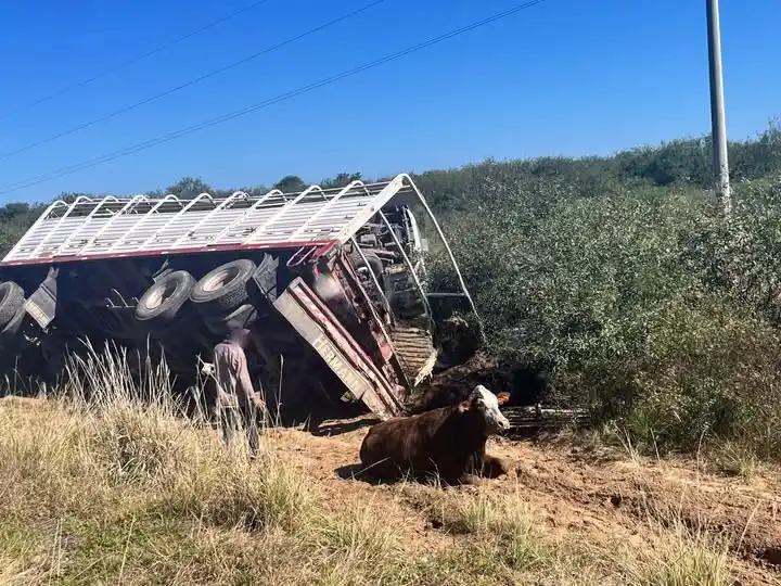 Volcó un camión ganadero en plena Ruta Nacional 95