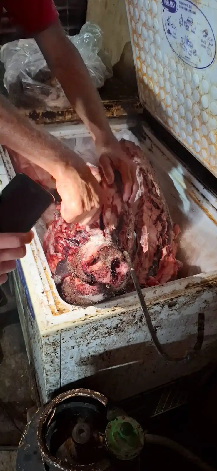 faenamiento clandestino en La Francia 3