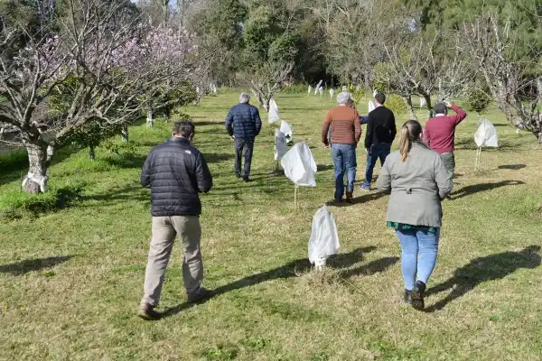 El Intendente Gastón visitó a emprendedores locales de producción agroecológica