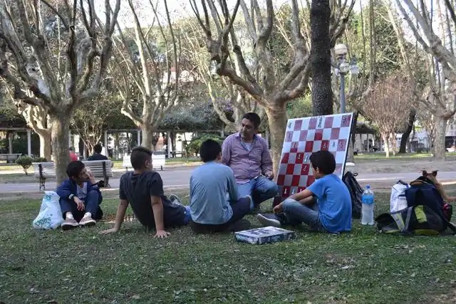Programa de Ajedrez Educativo