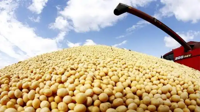 La siembra de soja en Entre Ríos es la más baja de los últimos 16 años