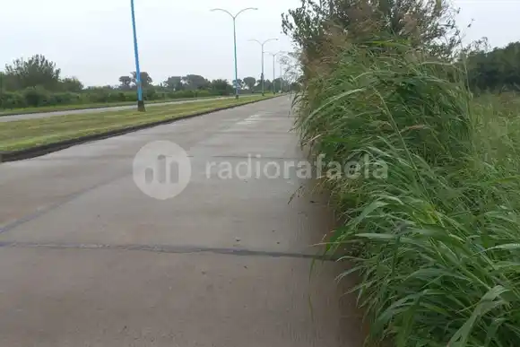 Higiene Urbana: Vecinos reclaman por la falta de mantenimiento de las calles de la ciudad