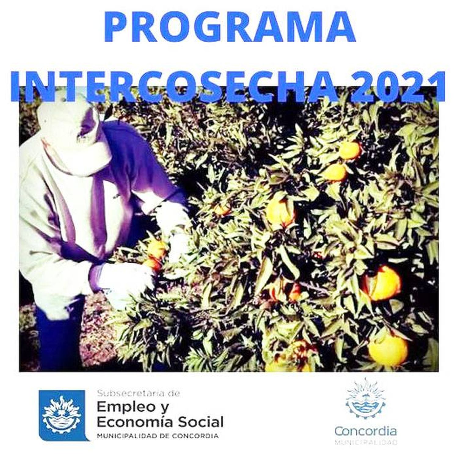 Programa Intercosecha 2021: registro on line