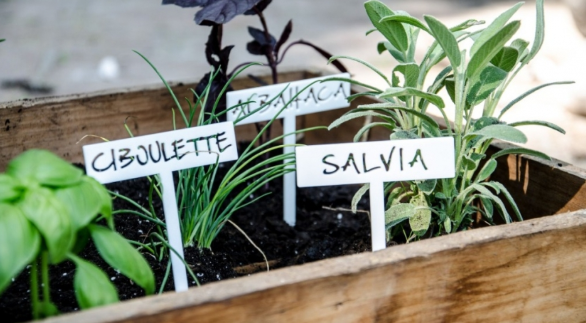 Se realizará un taller de plantas aromáticas. Se requiere inscripción previa.