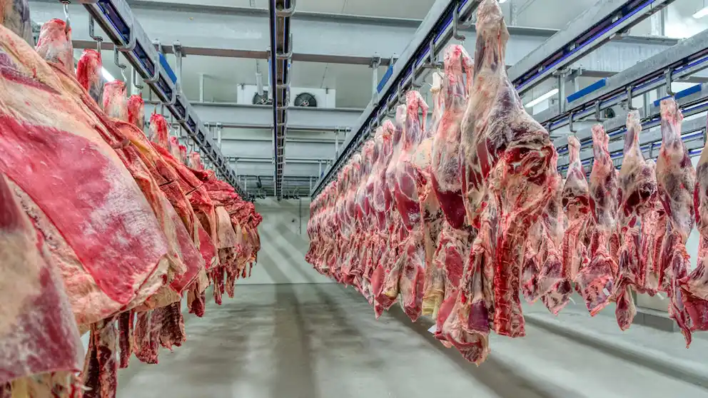 El Gobierno extendió la quita temporal de retenciones también a las carnes bovinas y avícolas