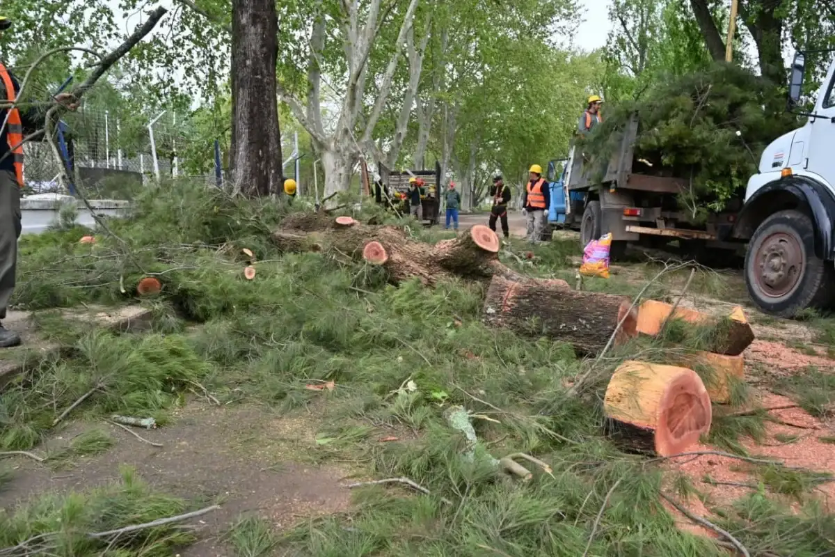Reacondicionan el camino entre la Costanera del Tiempo y el ex Frigorífico y proyectan un nuevo paso peatonal