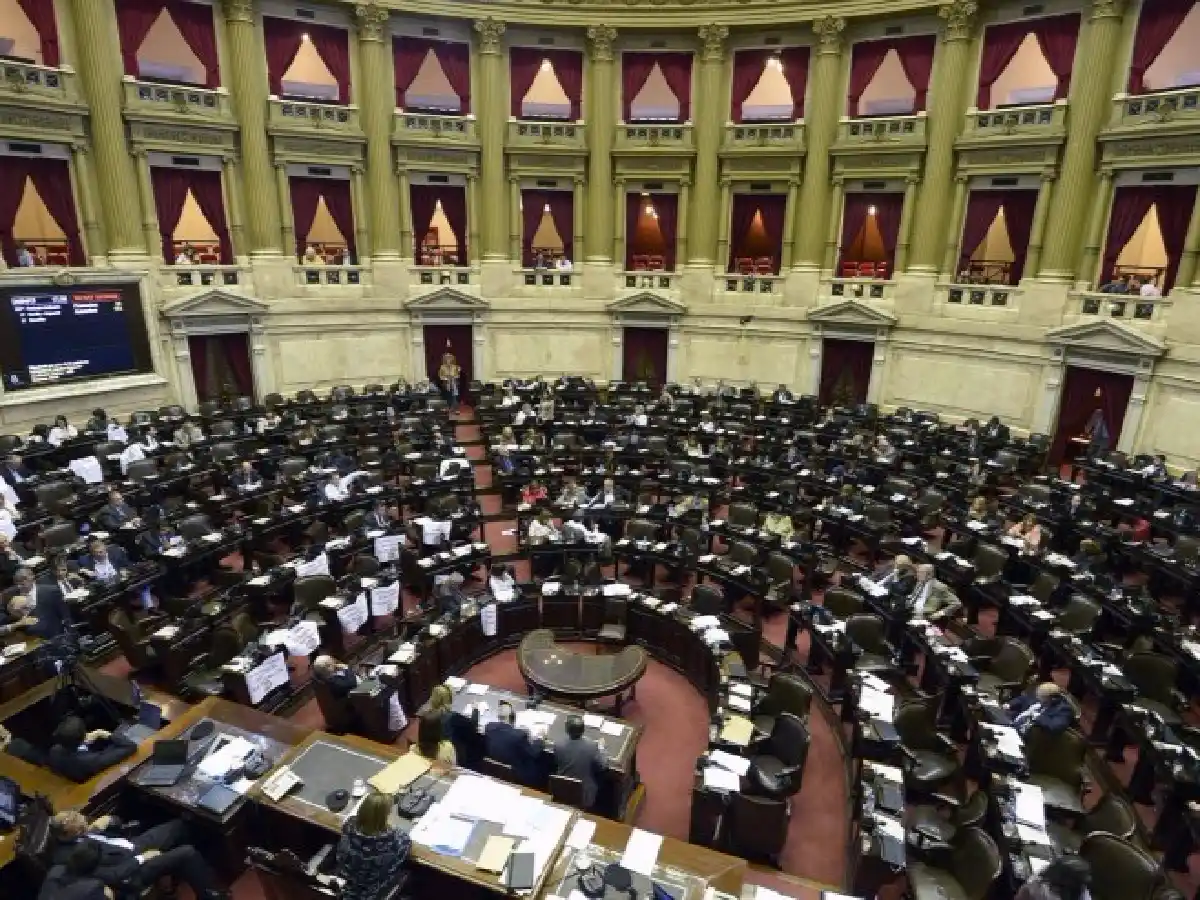 Diputados: no hubo quórum para tratar decreto de reforma militar 