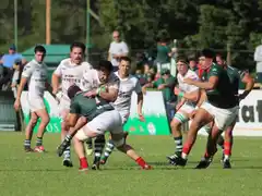 Los Cardos se hizo fuerte de local ante San Ignacio