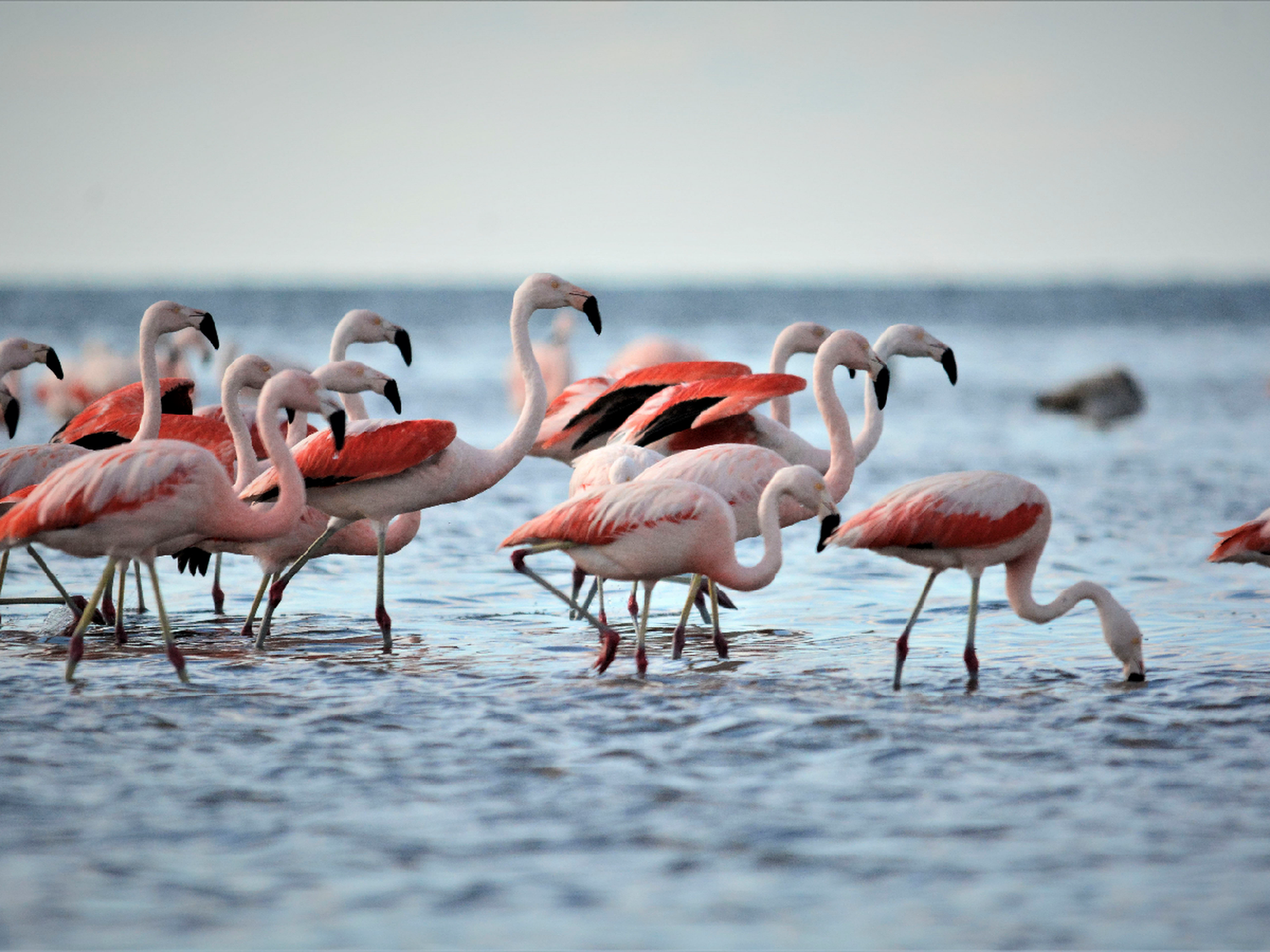 Más cerca del Parque Nacional 