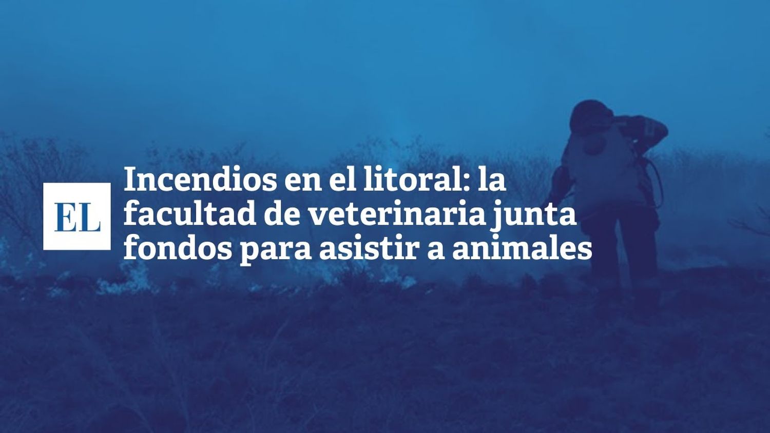 Incendio en el Litoral: la facultad de veterinaria junta fondos para asistir a animales