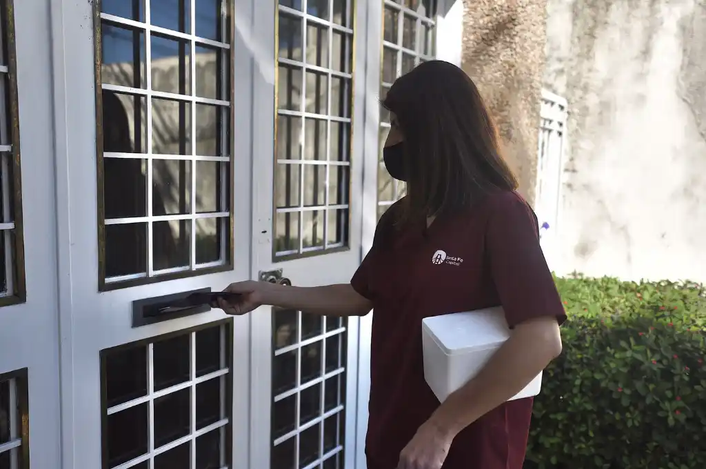 Recomendaciones a tener en cuenta ante la aparición de murciélagos