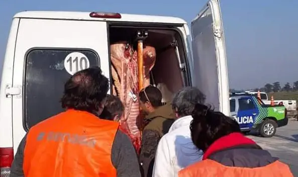 Con la llegada del calor aumentan los controles de Bromatología