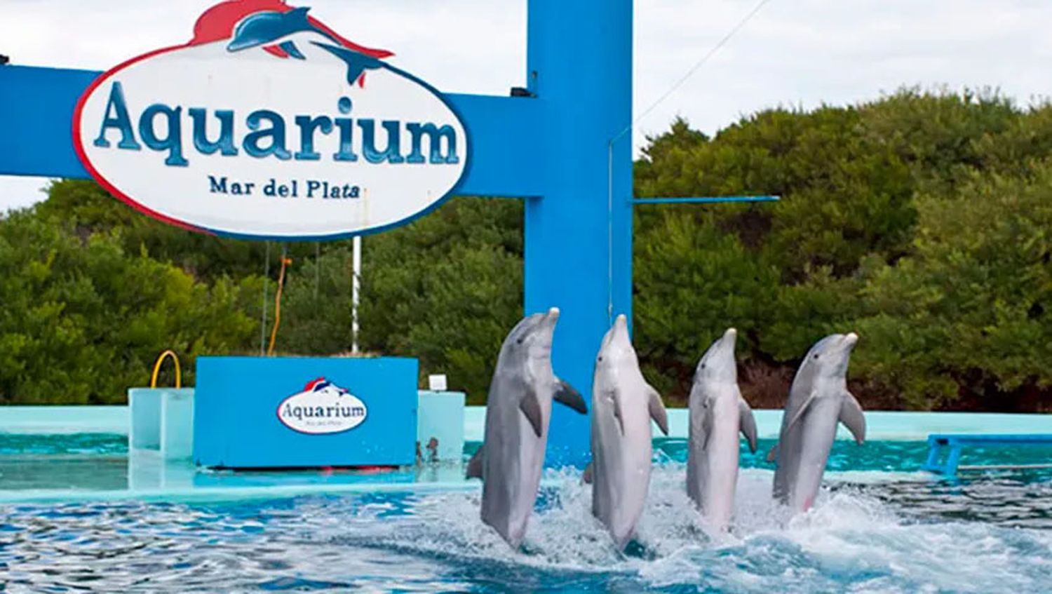 Cierra Aquarium Mar del Plata: sin acuerdo para renovar el contrato de alquiler del predio