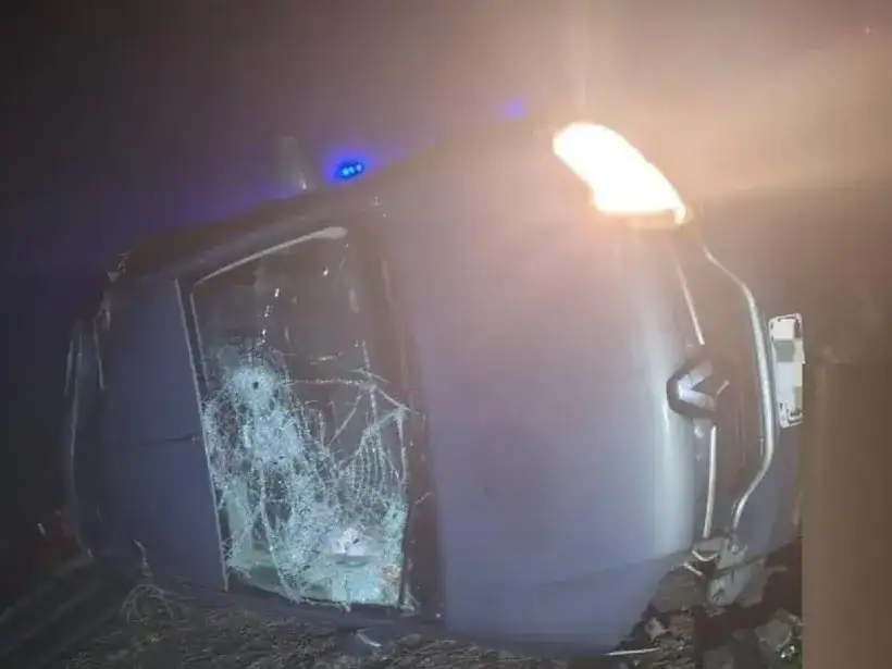 Quiso esquivar un carpincho que se apareció de repente en la ruta y terminó volcando