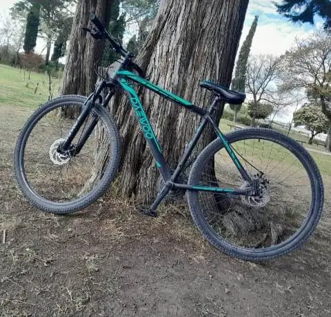 Ofrecen recompensa por una bici robada