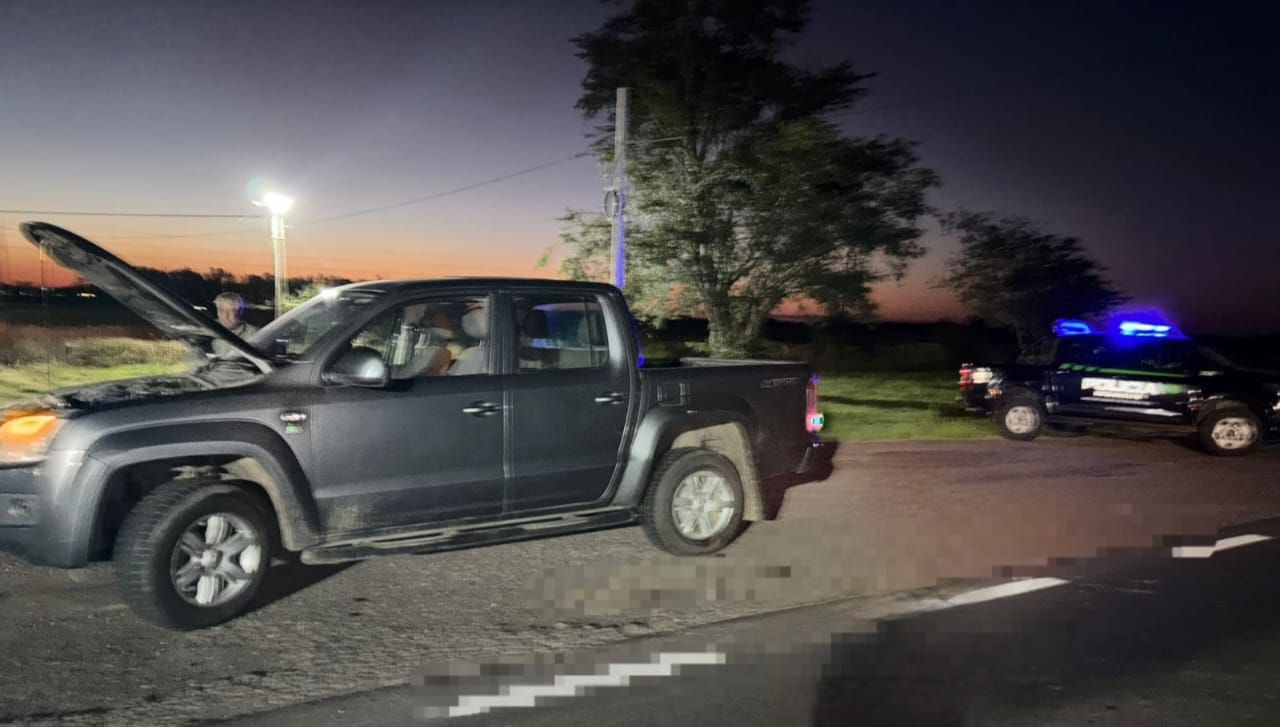 Detuvieron a un conductor con una camioneta robada en Ruta 11: tenía pedido de secuestro
