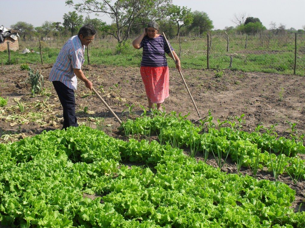 En Argentina «muchos niños dependen exclusivamente de los programas escolares de alimentación”, expresa un documento de Naciones Unidas
