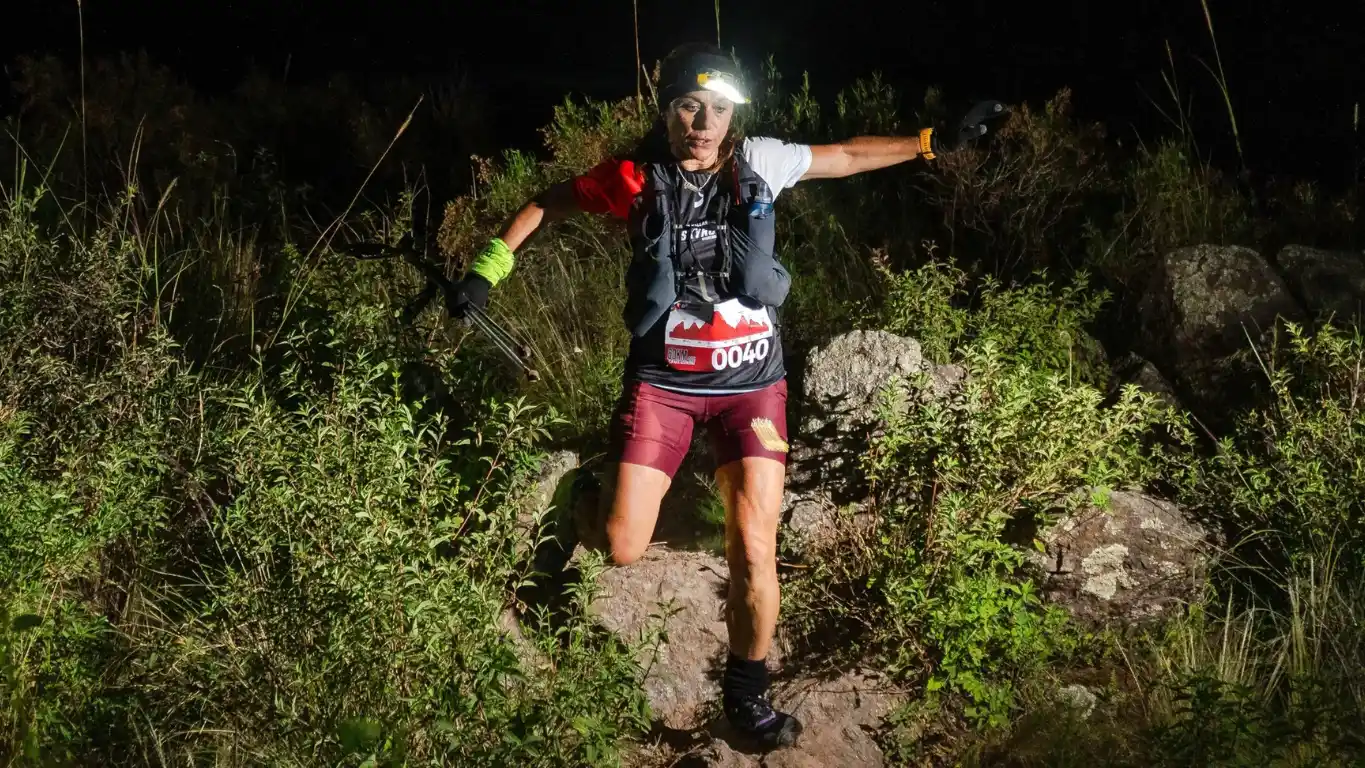 Gentileza: Foton line