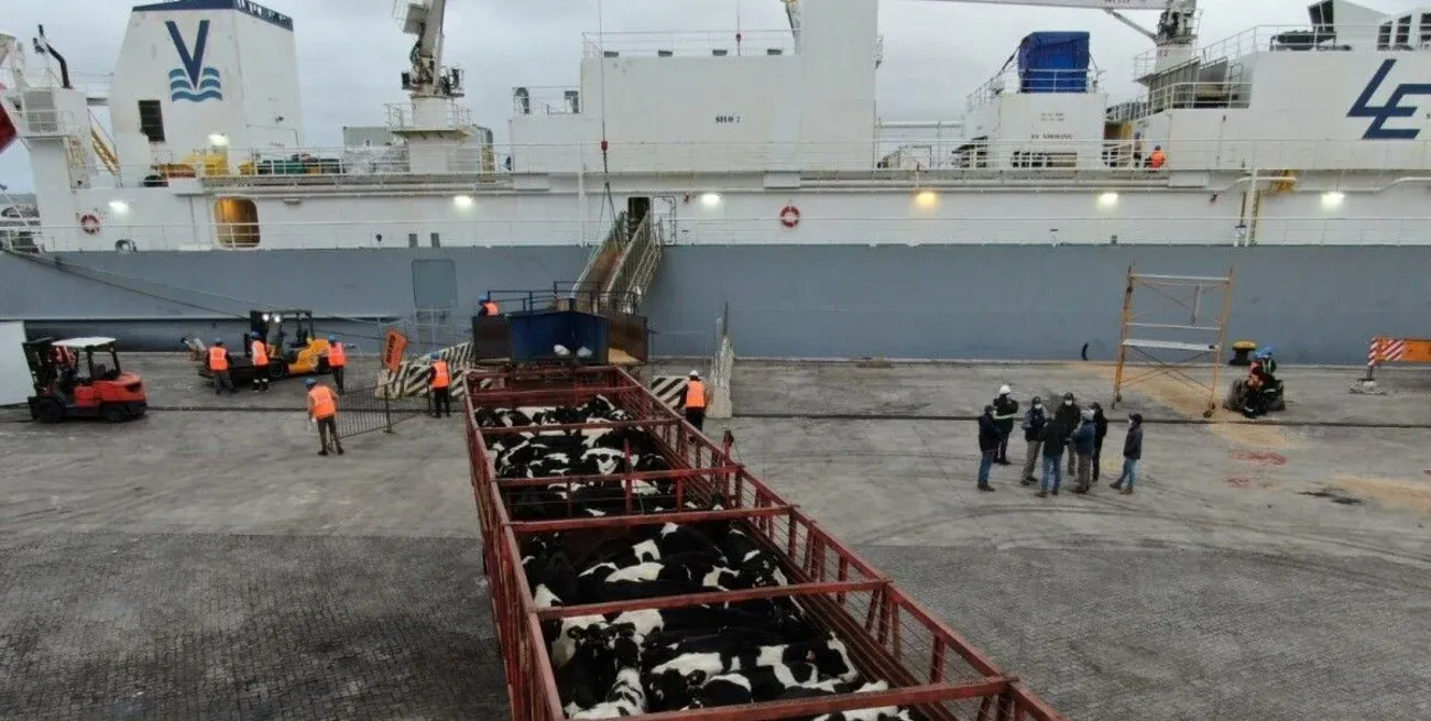 El decreto de Milei y Caputo deja sin efecto una medida que fue tomada por una situación puntual en 1973.