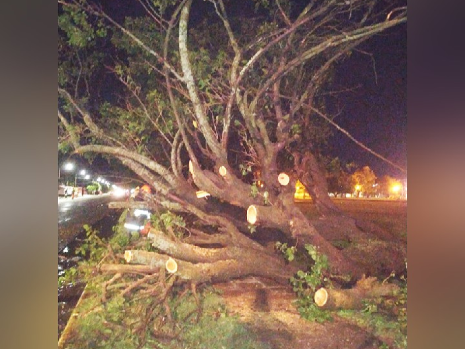 Fuerte temporal en Devoto 