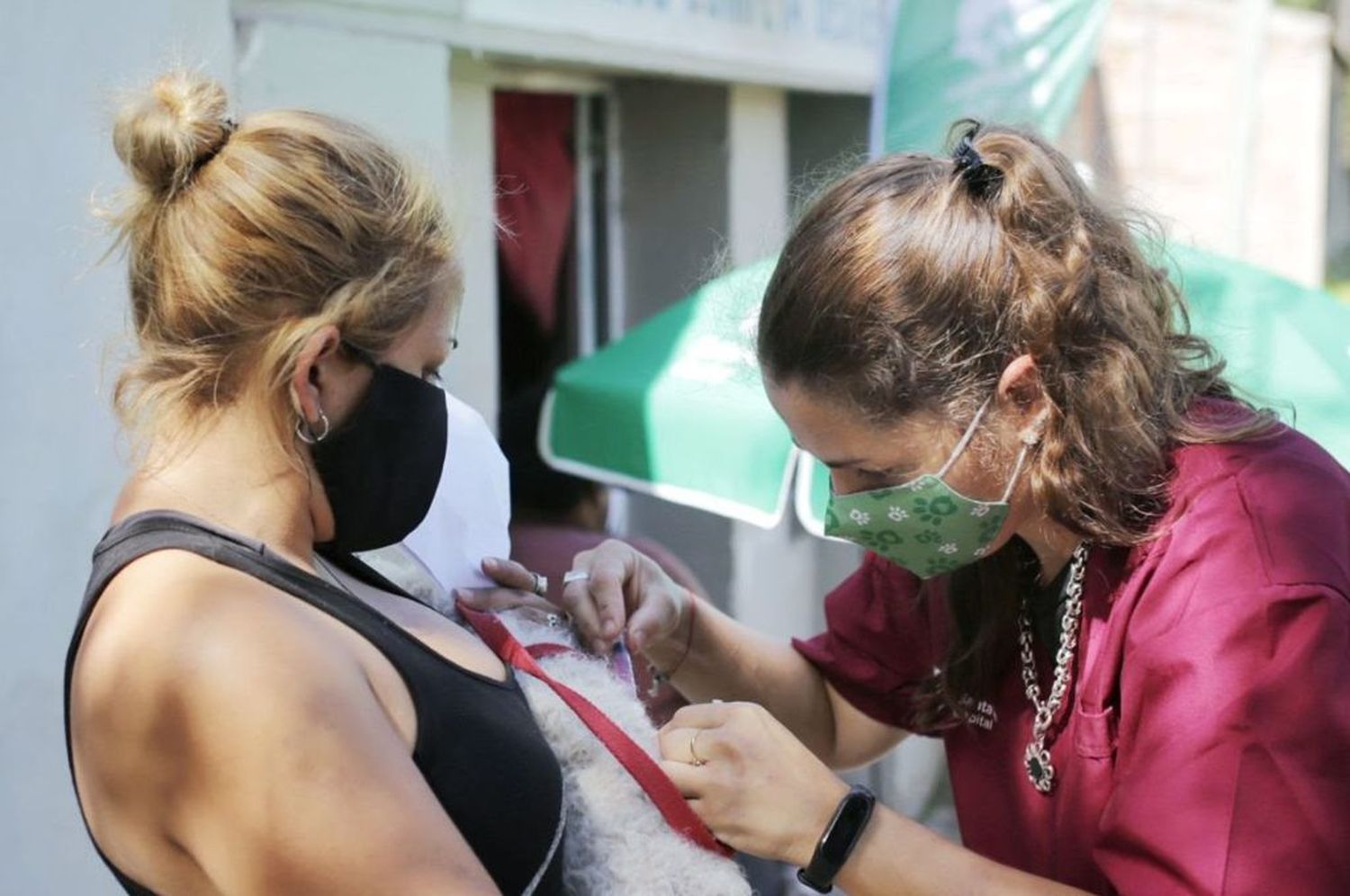 La Municipalidad de Santa Fe continúa con la campaña de vacunación antirrábica